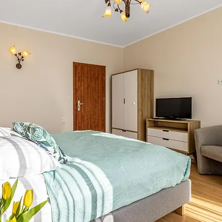 Rena ゲストハウス 3*